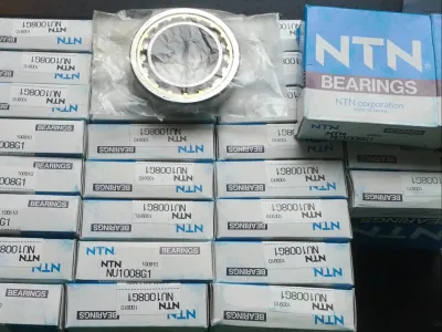 NTN NU1008G1