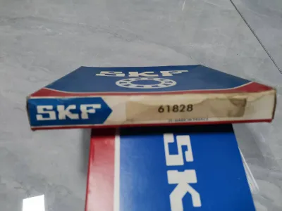 SKF SKF 61828